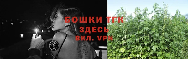сатива Приозерск