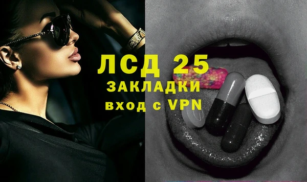 сатива Приозерск