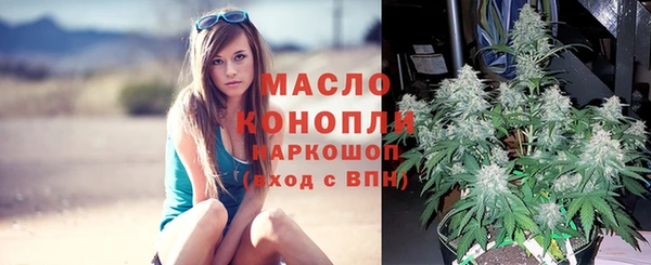 сатива Приозерск