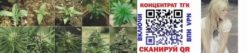 ТГК вейп с тгк  Динская 
